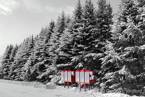 Pine Row Mailboxes_11861.jpg - Photographed at Manotick, Ontario, Canada.